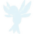 Logo épuré d’un colibri bleu pastel, symbole de douceur et de spontanéité