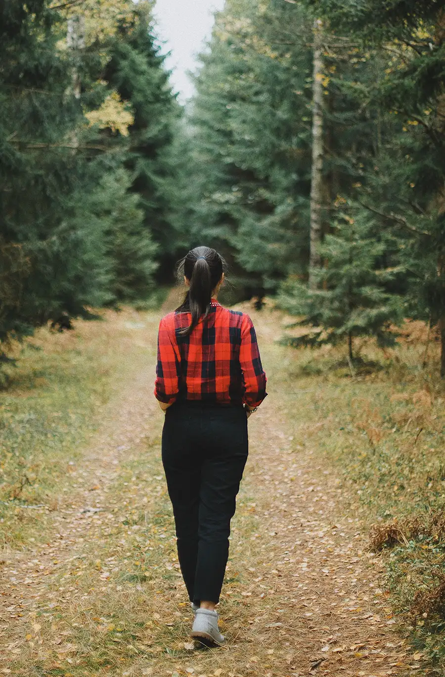 Femme marchant seule sur un chemin forestier, évoquant une nouvelle direction pour retrouver goût à la vie